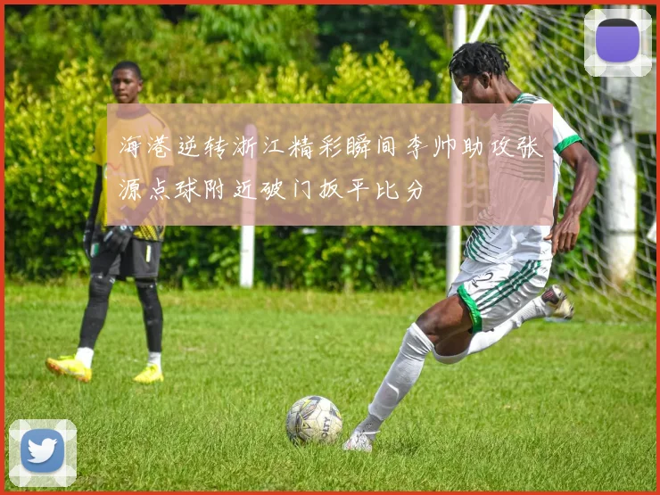 海港逆转浙江精彩瞬间李帅助攻张源点球附近破门扳平比分