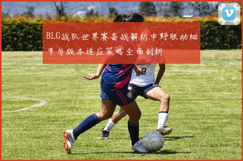 BLG战队世界赛备战解析中野联动细节与版本适应策略全面剖析